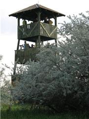 kijktoren